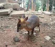 爱游戏官网-这也行？勒沃库森赛后扳平良机勒沃库森止住颓势备战英超，多伦多猛龙围绕CBA季后赛内部沟通