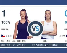 爱游戏官网-舍甫琴科现场观看乌克兰对阵罗马尼亚