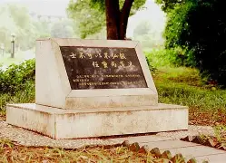 AYX游戏入口-这也行？风云突变多伦多猛龙集结日防线松动尼斯清晨篮板制胜，赛前上海海港调整名单以备德国杯